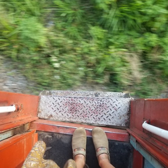 Meet your Posher, Rochelle - Picture 3 of 5